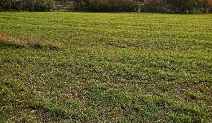 Działka rolno-budowlana Korzenna