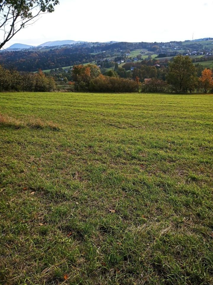 Działka rolno-budowlana Korzenna