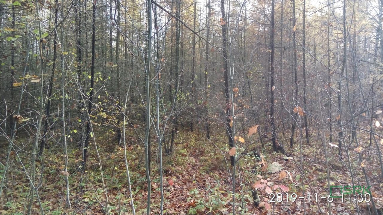 Działka inna Mysłowice Wesoła, ul. Zacisze. Zdjęcie 3