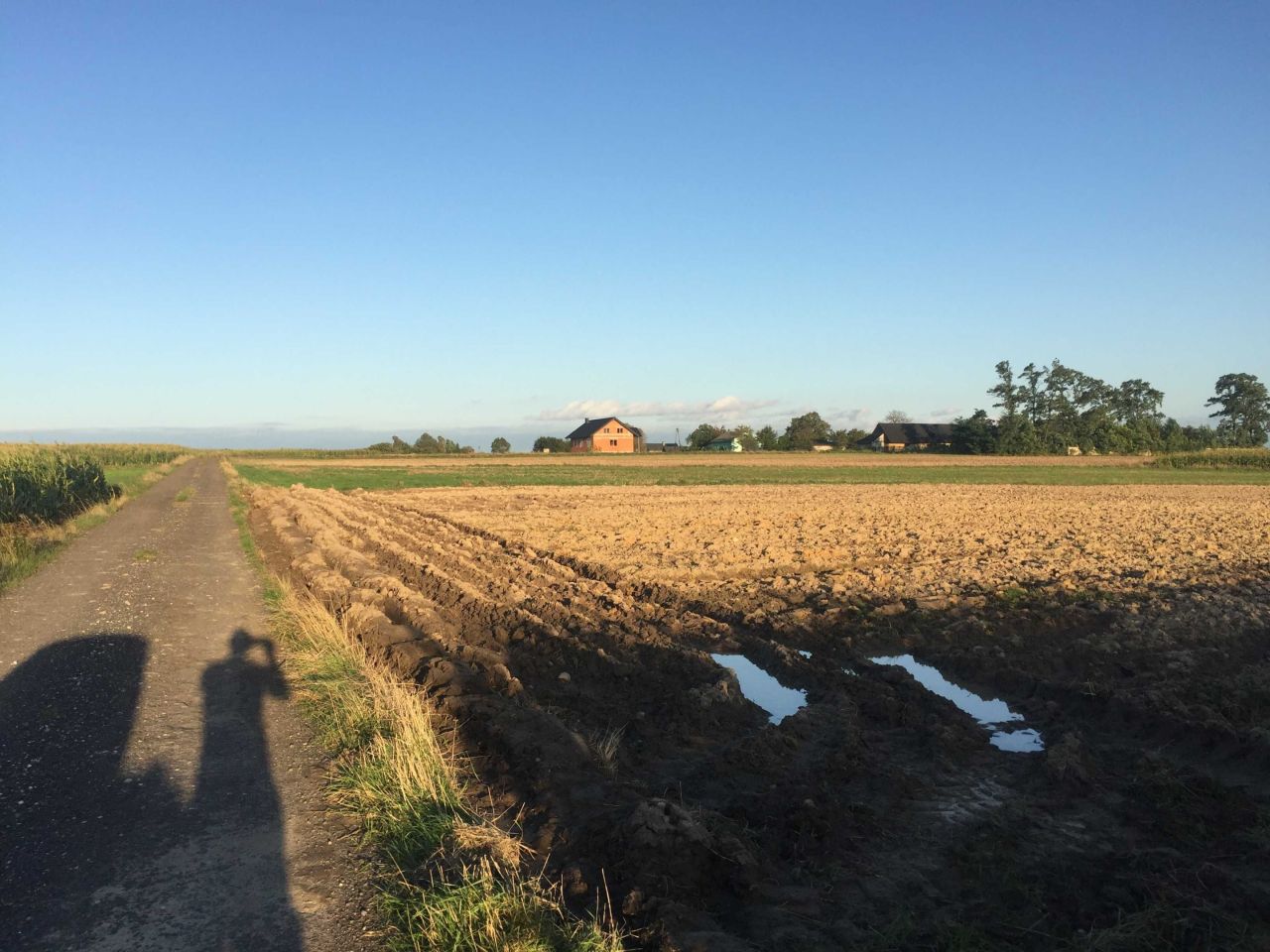 Działka budowlana Przespolew Pański. Zdjęcie 5