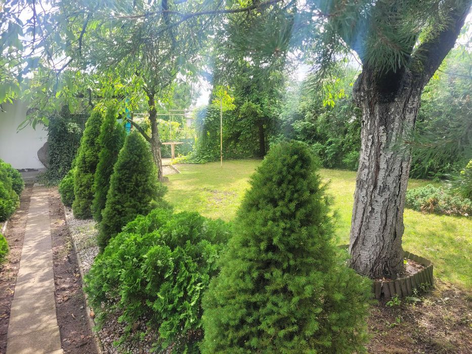 Działka rod Szamotuły, ul. Wojska Polskiego. Zdjęcie 3