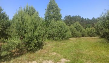 Działka budowlana Obrowo, ul. Lisia