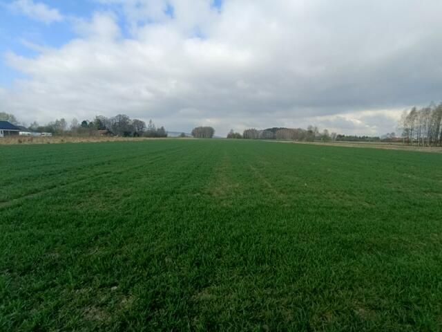 Działka budowlana Świerzowa Polska. Zdjęcie 13