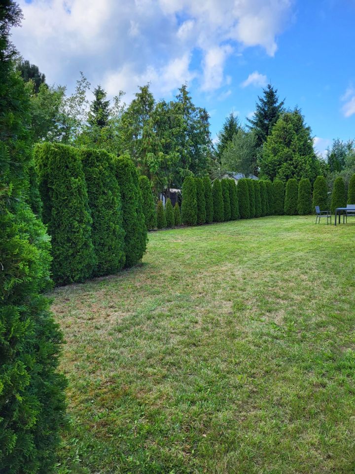 Działka rod Zielona Góra Ochla. Zdjęcie 8