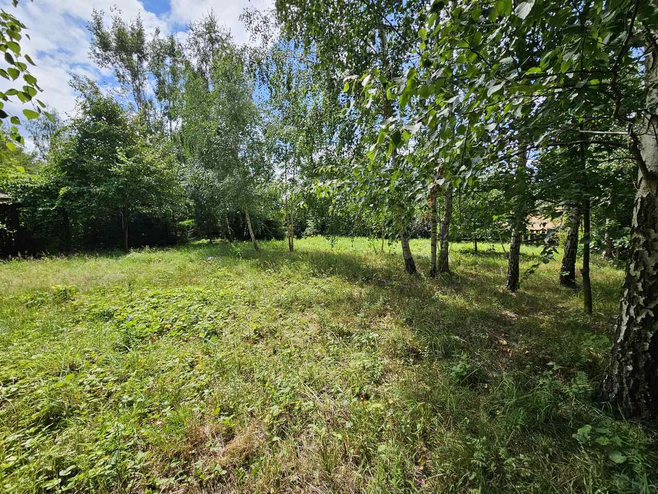 Działka rekreacyjna Urowo Murawki. Zdjęcie 11