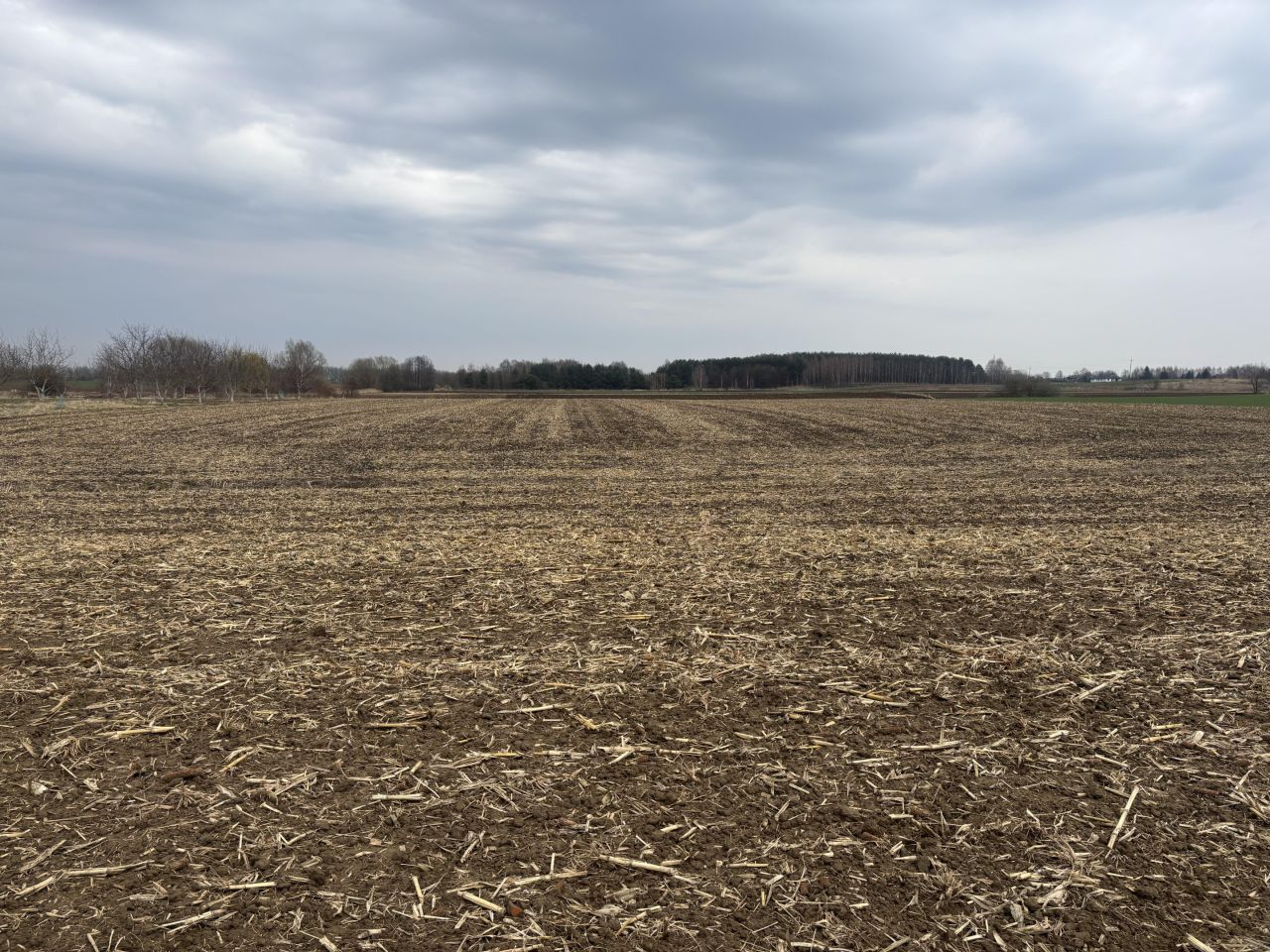 Działka rolna Koniaczów. Zdjęcie 12