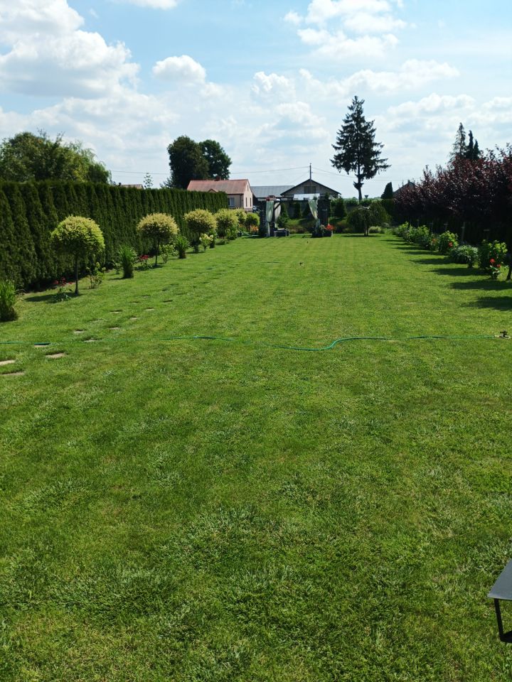 dom wolnostojący, 3 pokoje Zakrzew. Zdjęcie 5