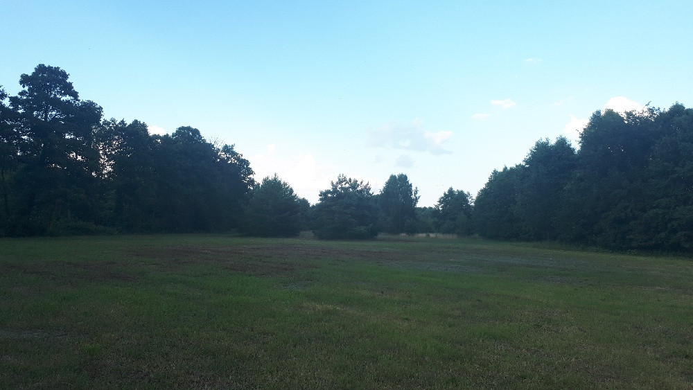 Działka rolno-budowlana Ostrykół Dworski. Zdjęcie 6