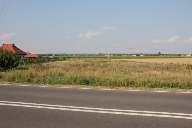 Działka rolno-budowlana Paprotnia. Zdjęcie 1