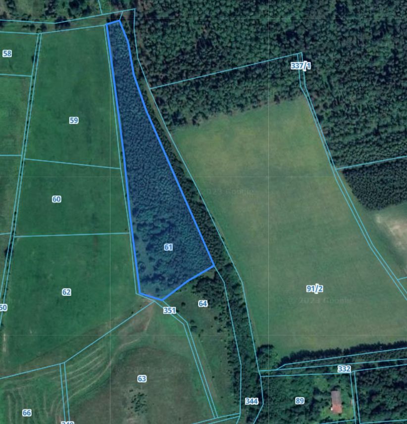 Działka leśna Łętowo. Zdjęcie 3