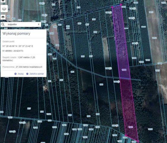 Działka leśna Sulgostów. Zdjęcie 1