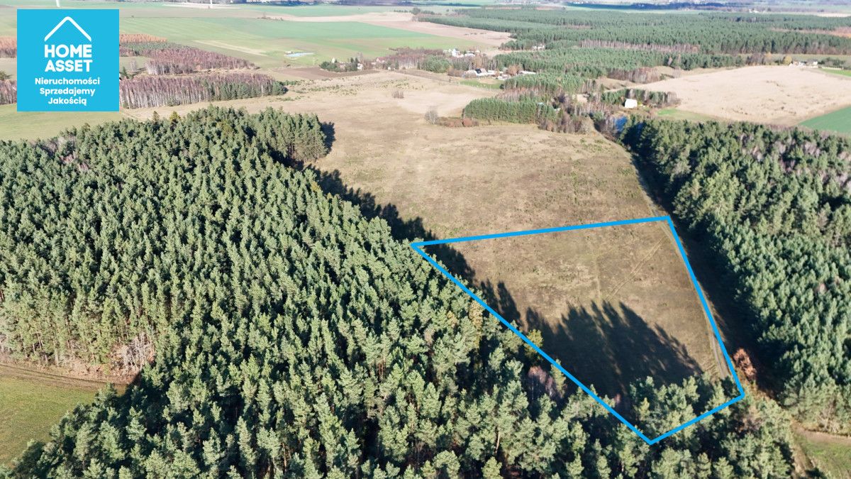 Działka rolna Dąbrówno. Zdjęcie 8