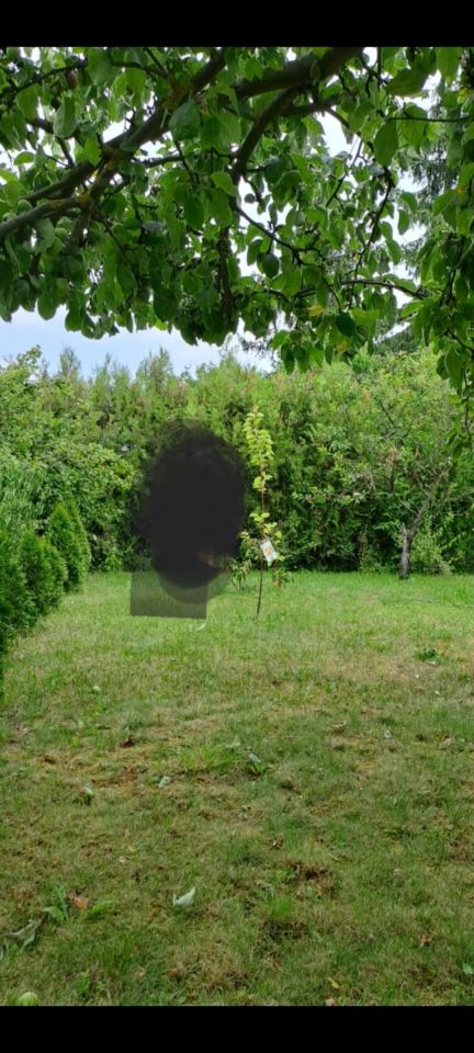 Działka rod Milanówek Turczynek, ul. Turczynek. Zdjęcie 4