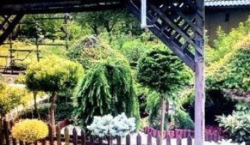 Działka rod Koluszki, ul. św. Stanisława Kostki