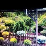 Działka rod Koluszki, ul. św. Stanisława Kostki