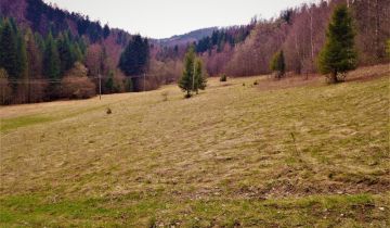 Działka inwestycyjna Wisła Jawornik, ul. Polna