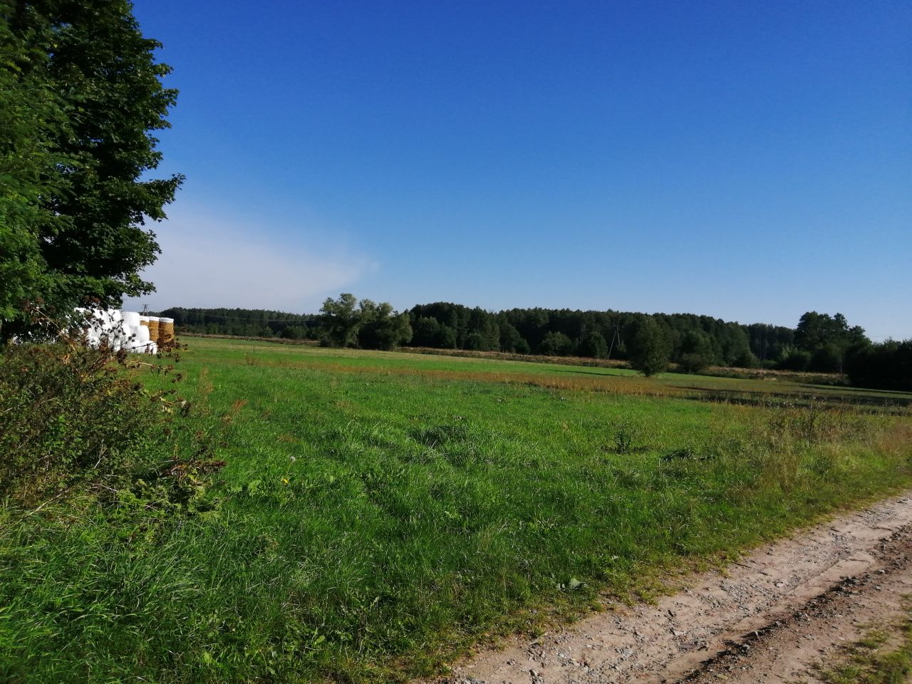 Działka siedliskowa Trzciniec Mały. Zdjęcie 5