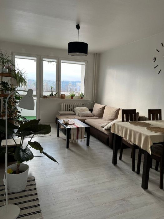 Mieszkanie 2-pokojowe Gdańsk Zaspa, ul. Żwirki i Wigury