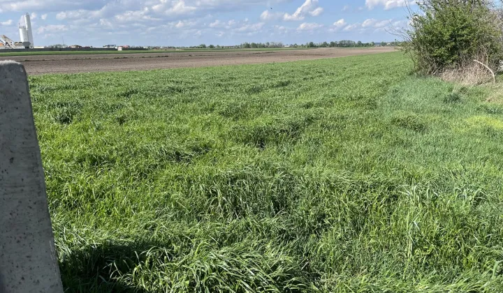 Działka budowlana Garzew