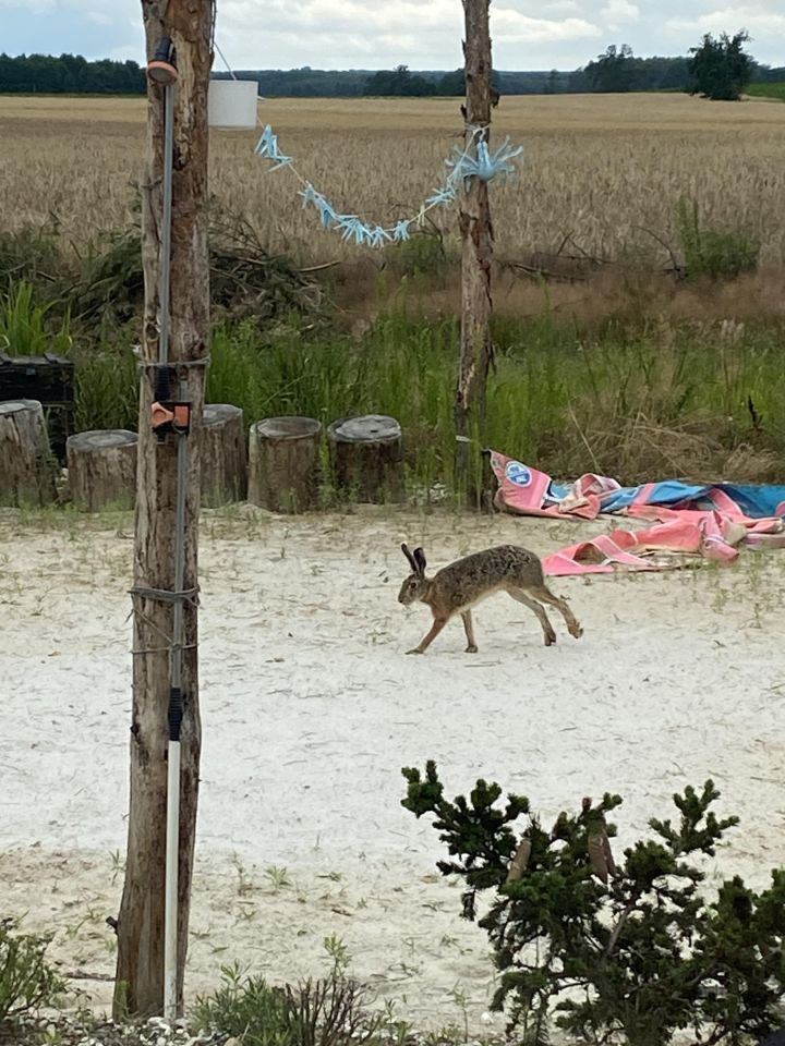 dom wolnostojący, 4 pokoje Kudrowice. Zdjęcie 7