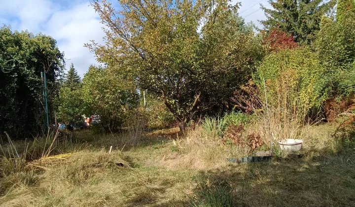 Działka rekreacyjna Warszawa Paluch, ul. Ogrodników