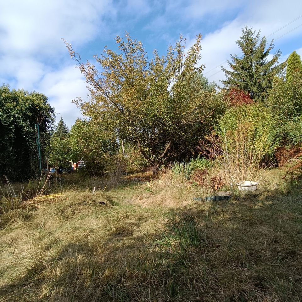 Działka rekreacyjna Warszawa Paluch, ul. Ogrodników