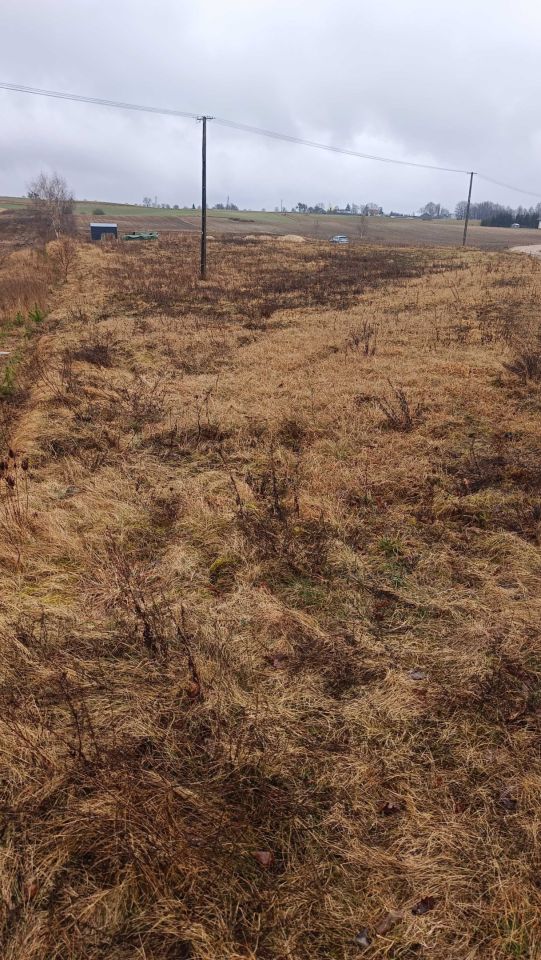 Działka rolna Osowo. Zdjęcie 3