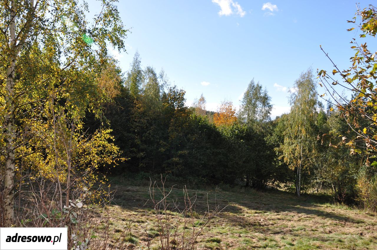 Działka rolno-budowlana Gruszków. Zdjęcie 10