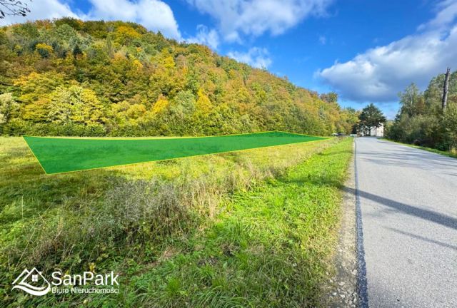 Działka rolna Wołkowyja. Zdjęcie 1