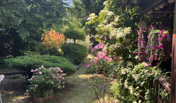 Działka rod Romanów