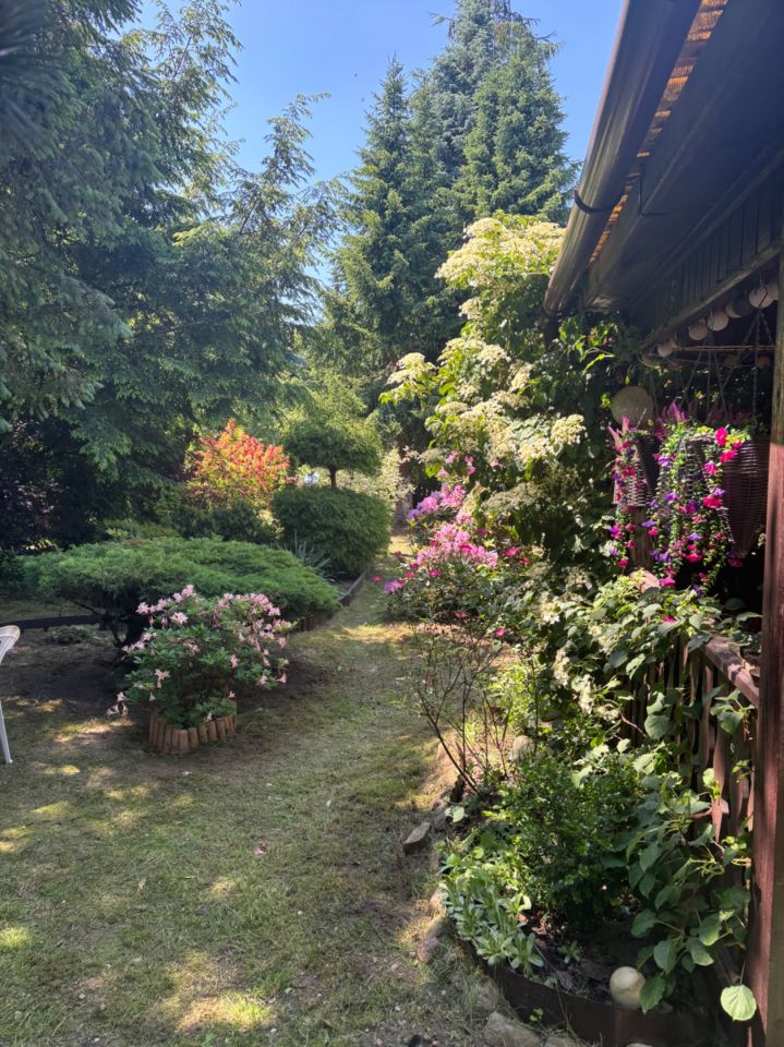 Działka rod Romanów. Zdjęcie 1