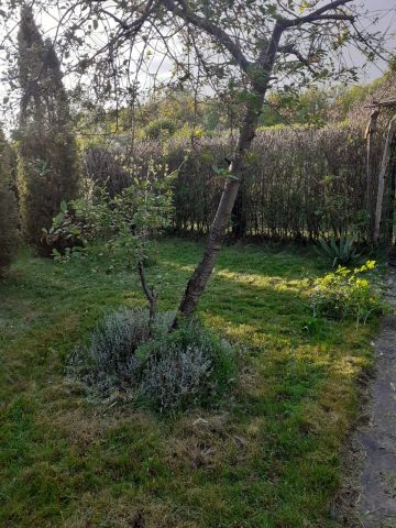 Działka rekreacyjna Gliwice Sośnica, ul. Władysława Sikorskiego. Zdjęcie 1