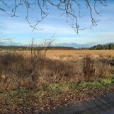 Działka budowlana Wolimirzyce. Zdjęcie 4