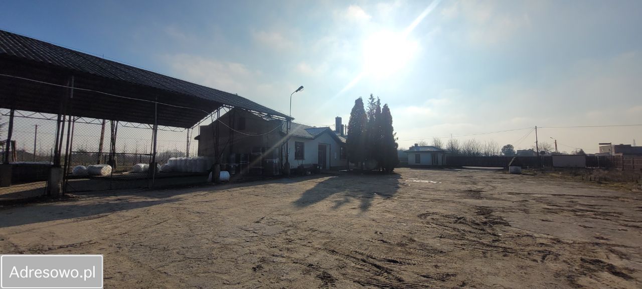 Hala/magazyn Suchodół. Zdjęcie 9