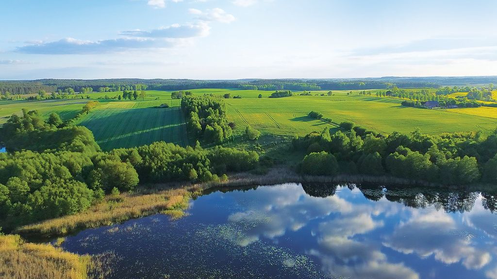 Działka budowlana Dziki. Zdjęcie 3