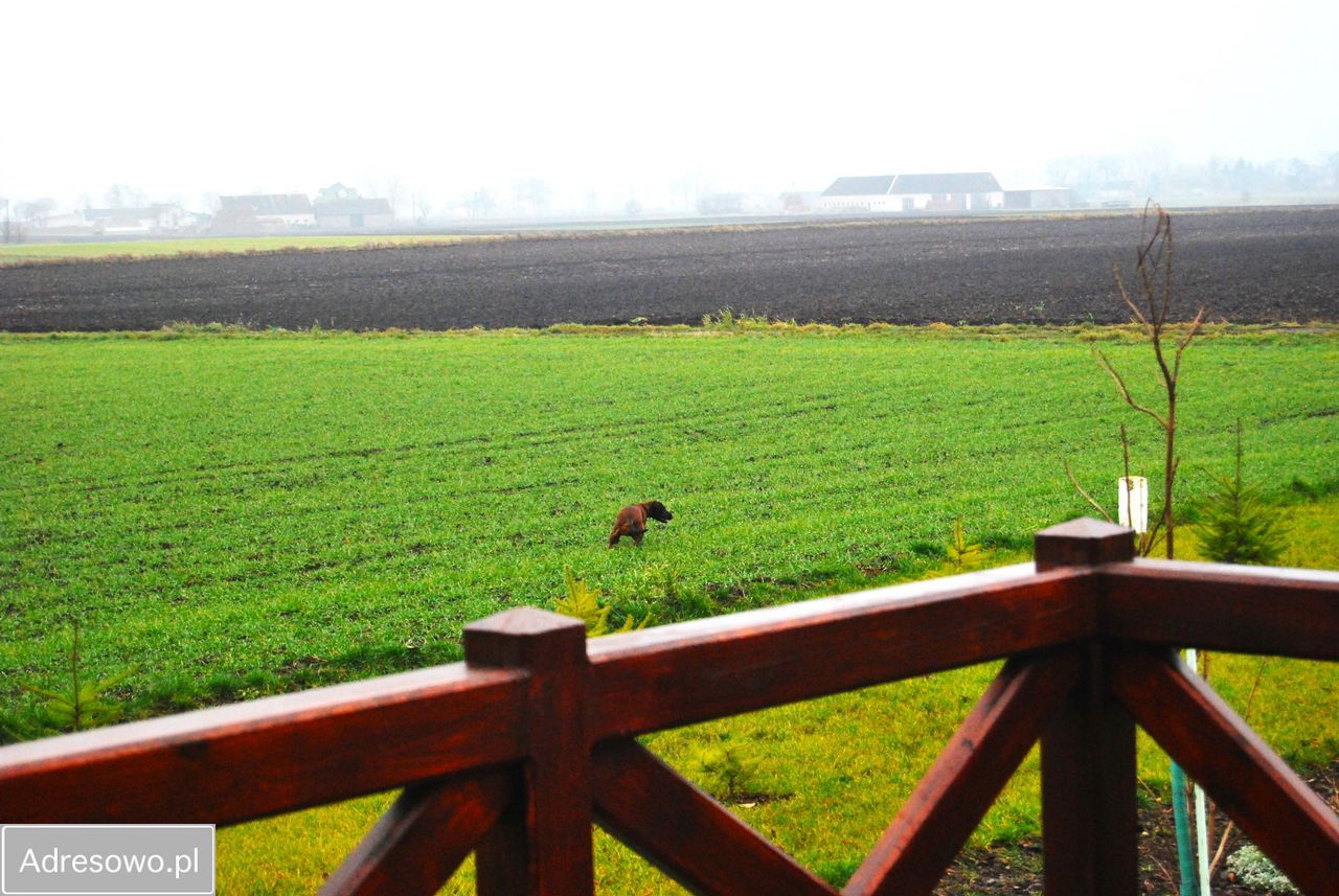 dom wolnostojący Kłonówek. Zdjęcie 8