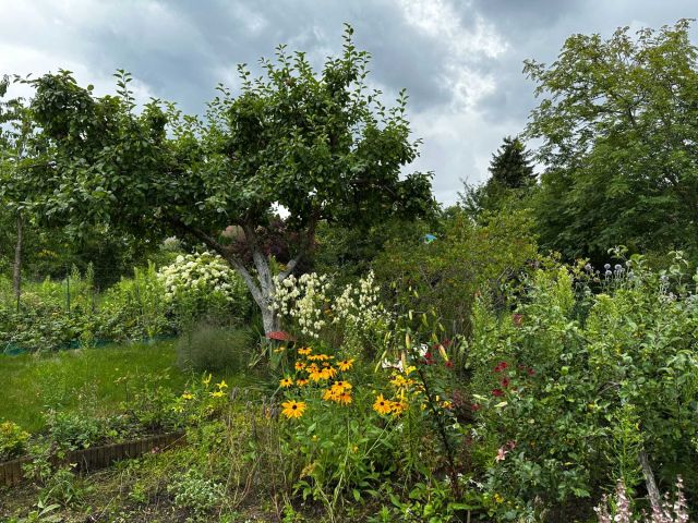 Działka rod Giżycko. Zdjęcie 1