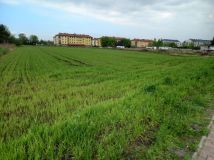 Działka budowlana Rogoźno, ul. Nowa. Zdjęcie 3