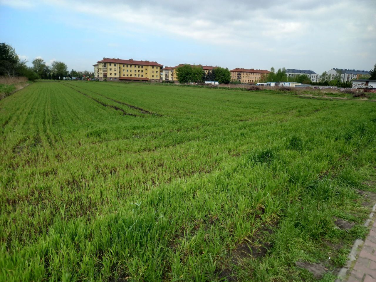 Działka budowlana Rogoźno, ul. Nowa. Zdjęcie 4