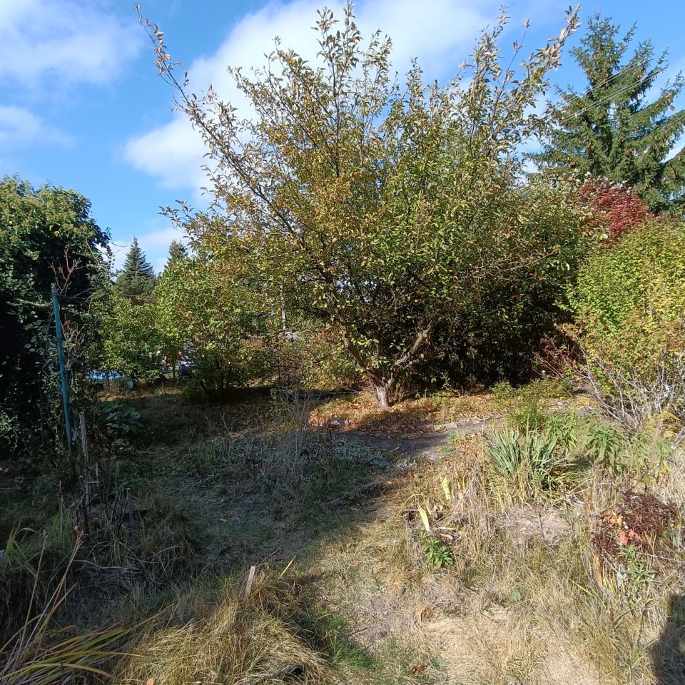 Działka rekreacyjna Warszawa Paluch, ul. Ogrodników. Zdjęcie 8