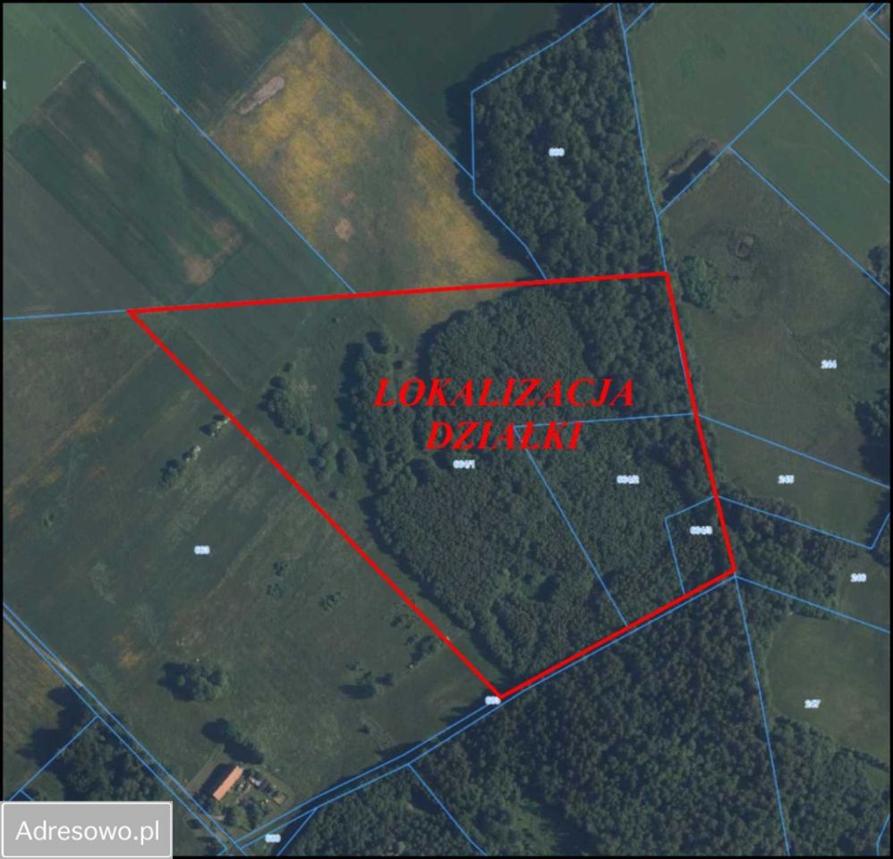 Działka rolna Kamiennik Wielki