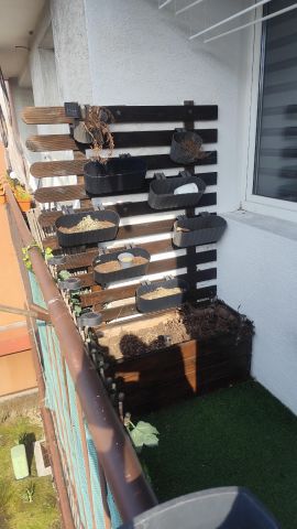 Mieszkanie 2-pokojowe Tychy Centrum, ul. Moniuszki. Zdjęcie 13