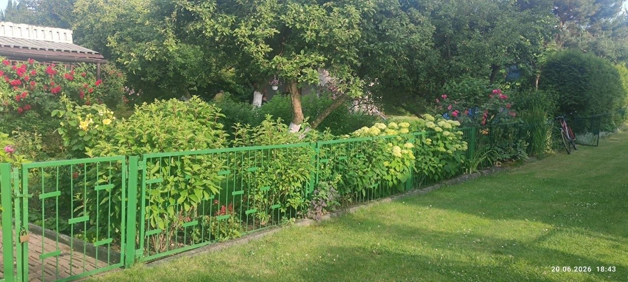 Działka rod Rybnik, ul. Franciszka Pilarczyka. Zdjęcie 4