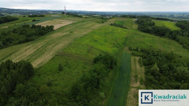 Działka inwestycyjna Pruchnik, ul. Bieszczadzka. Zdjęcie 9