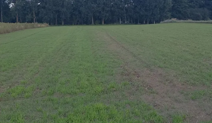 Działka rekreacyjna Wiewiórczyn