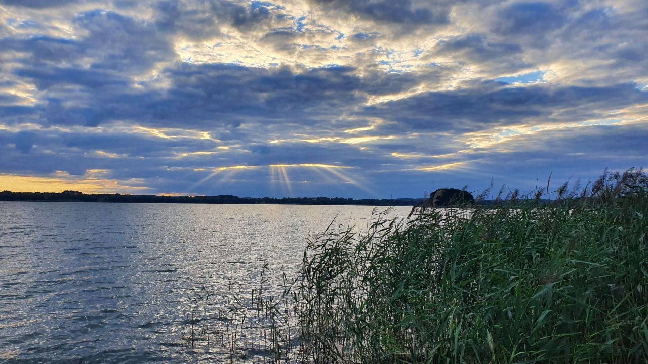 Działka siedliskowa Harsz Cegielnia. Zdjęcie 7