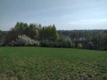 Działka Czostków