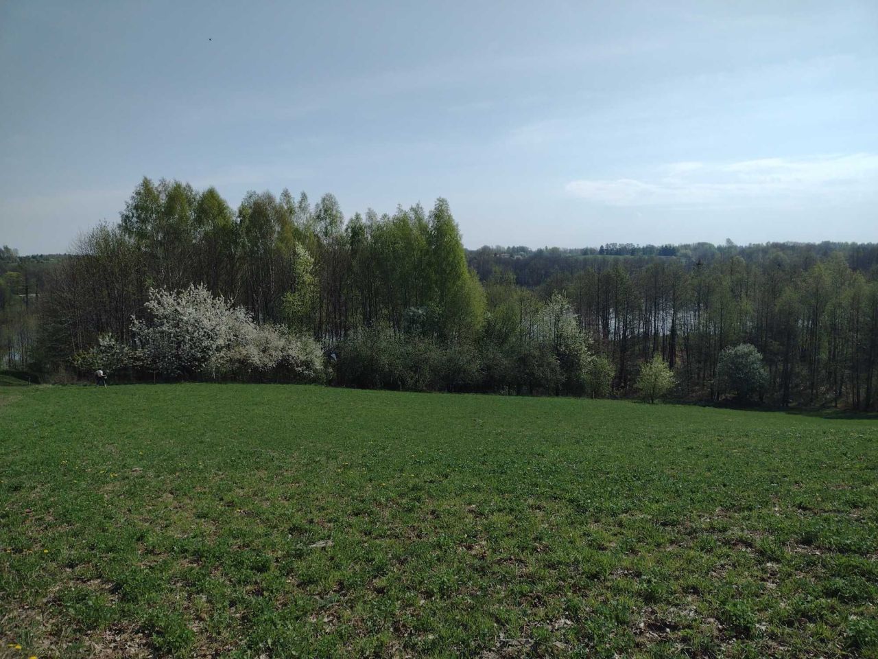 Działka Czostków