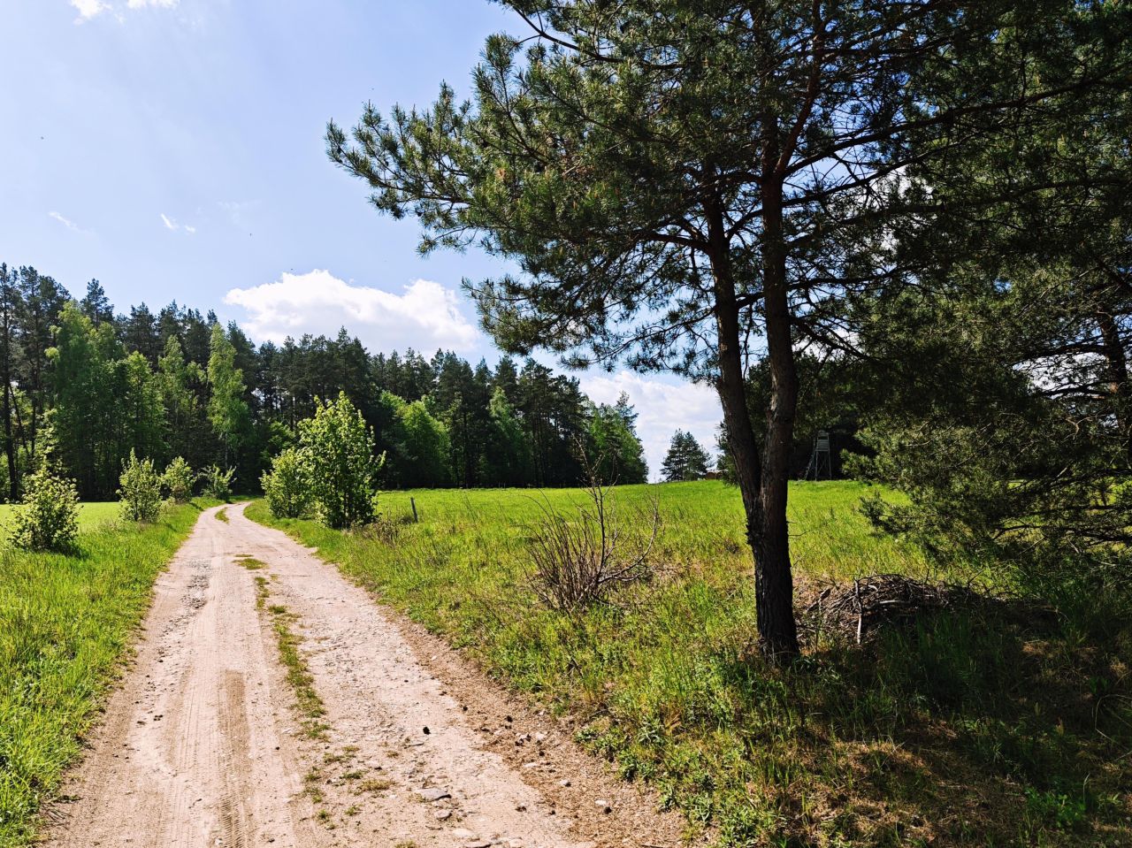 Działka budowlana Dźwierzuty, ul. Henryka Sienkiewicza. Zdjęcie 2
