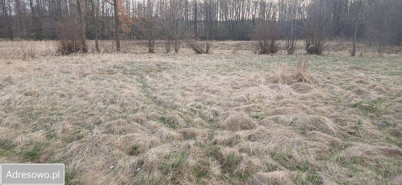 Działka budowlana Huta Komorowska. Zdjęcie 2